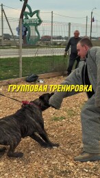 getVideoPreview (1)