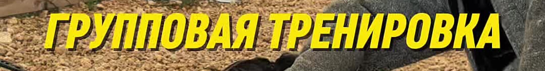 Тренировка по защитно-караульной службе