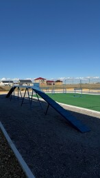 Кинологический клуб Арена в Евпатории